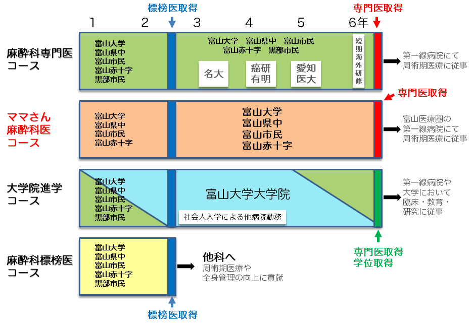 後期臨床研修コース図