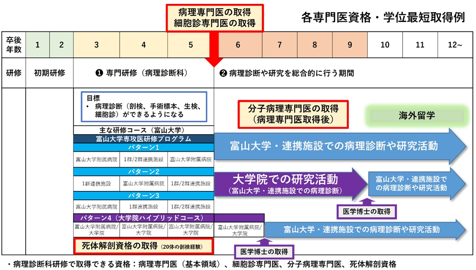 富山大学病理医キャリア形成プログラム