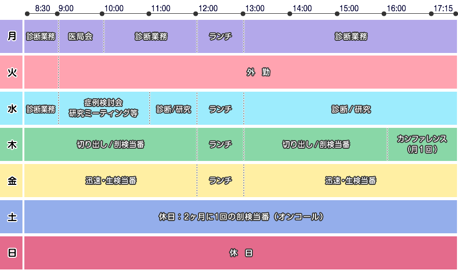 専門医の一週間