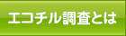 エコチル調査とは