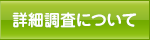 詳細調査について