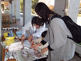 ファミリーパークの職員さんが里山の環境について話して下さいました。