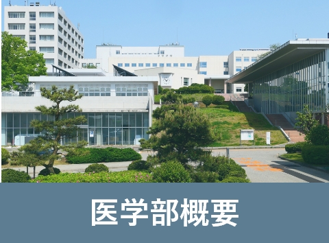 医学部概要