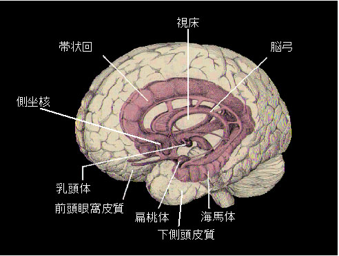 fig.1