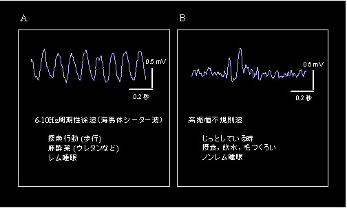 fig.6