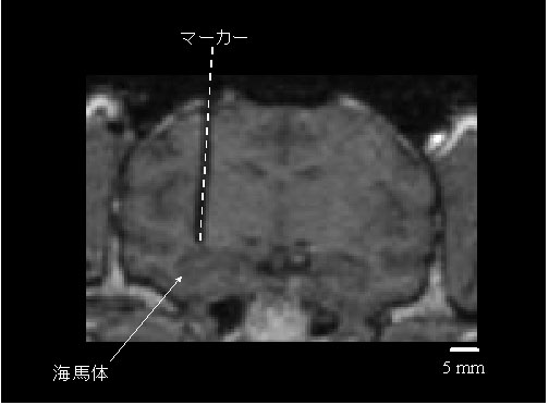 fig.7