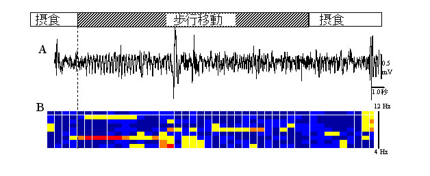 fig.8