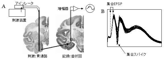 fig.9