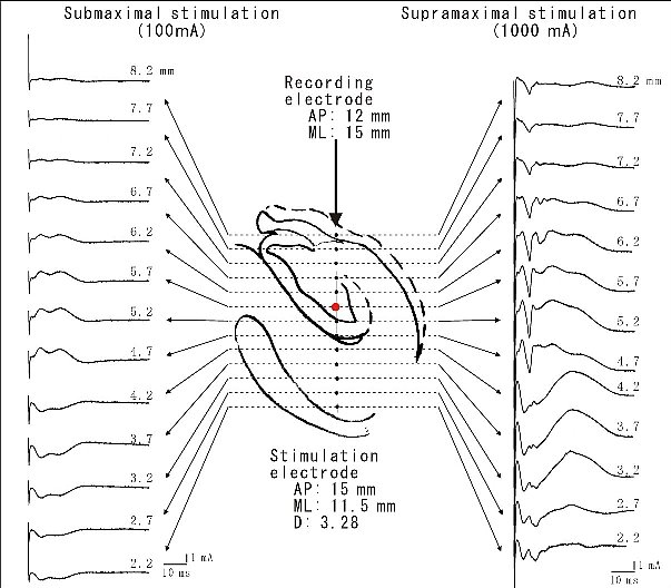 fig.10