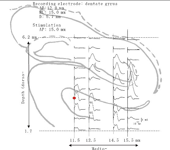 fig.11