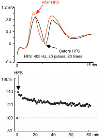 fig.12