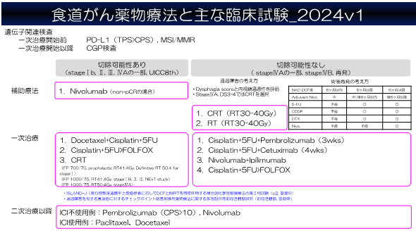 食道治療方針
