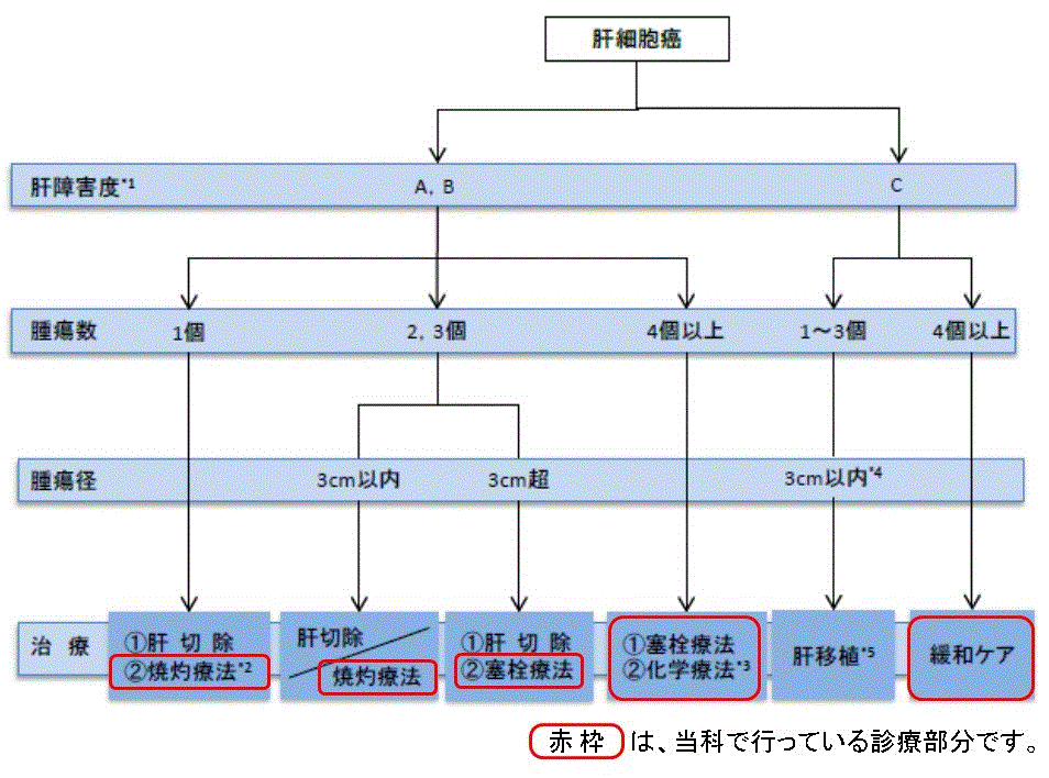 肝癌の治療