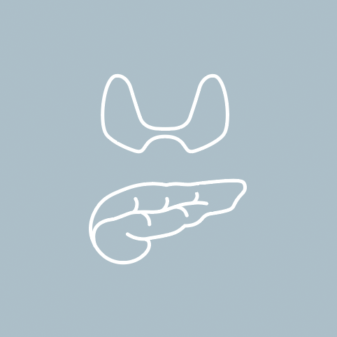 糖尿病代謝・内分泌内科