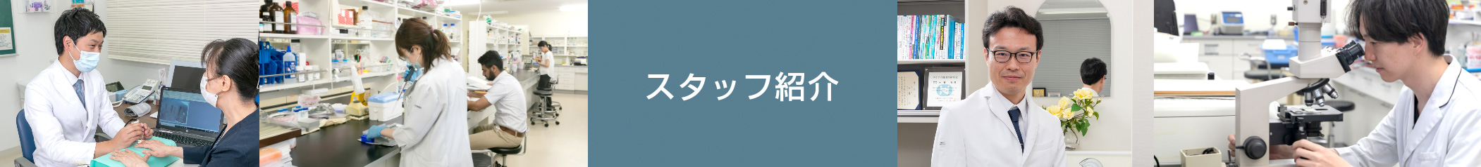 スタッフ紹介