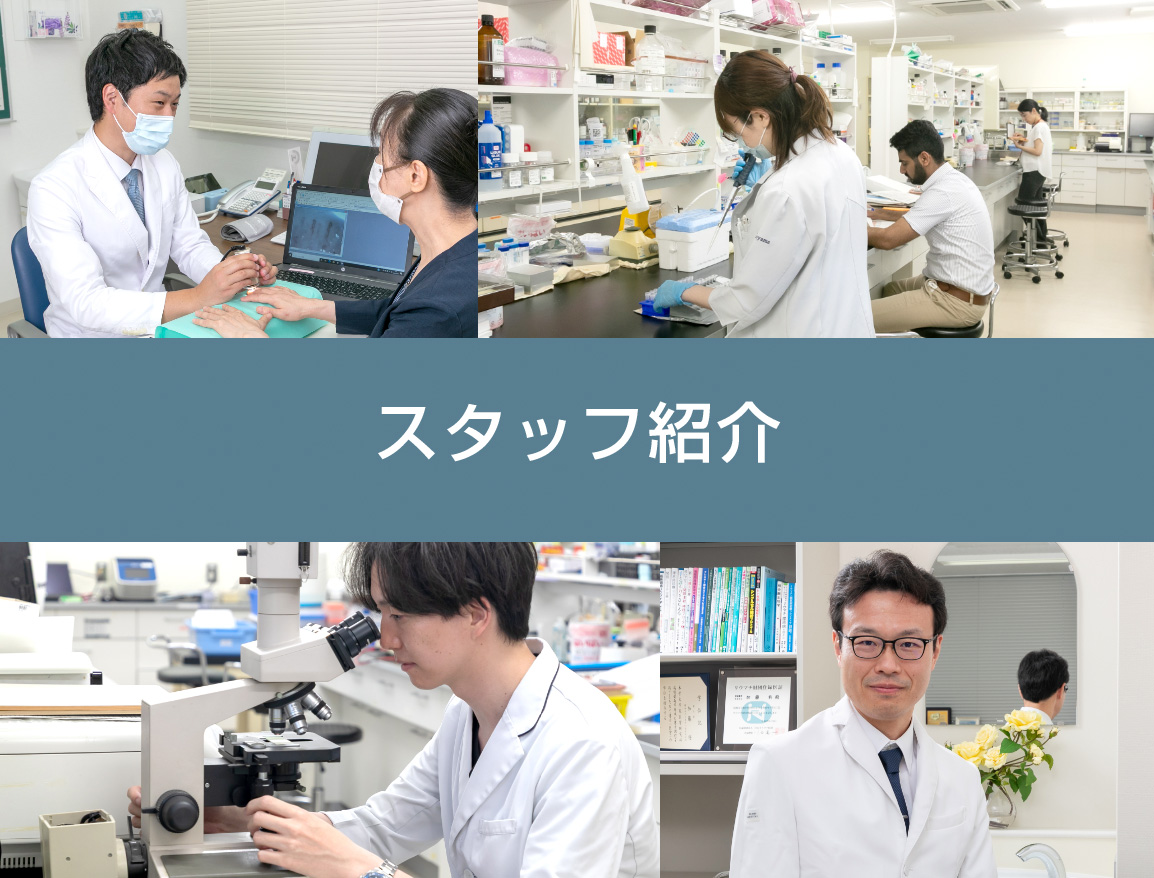 スタッフ紹介