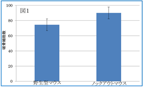 リウマチ・膠原病研究紹介（図1）