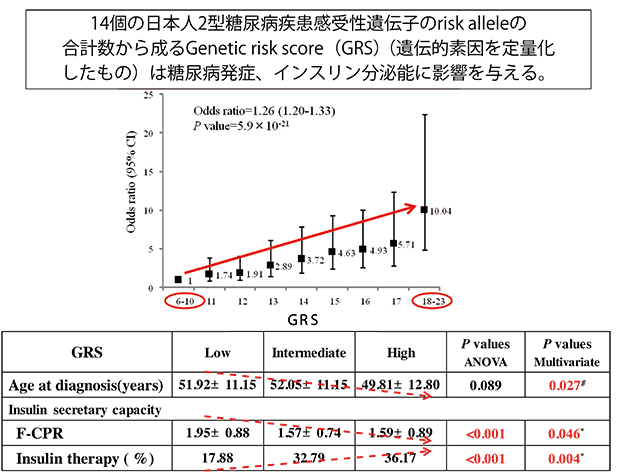 糖尿病・代謝・内分泌研究紹介（図4）