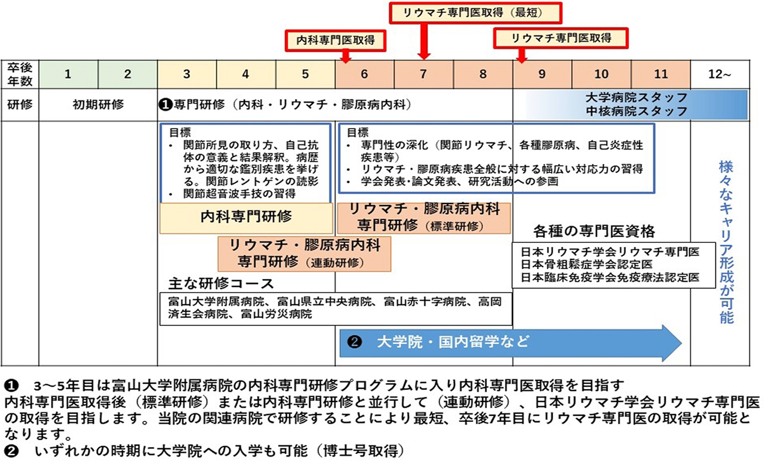 リウマチ・膠原病内科キャリア形成プログラムイメージ