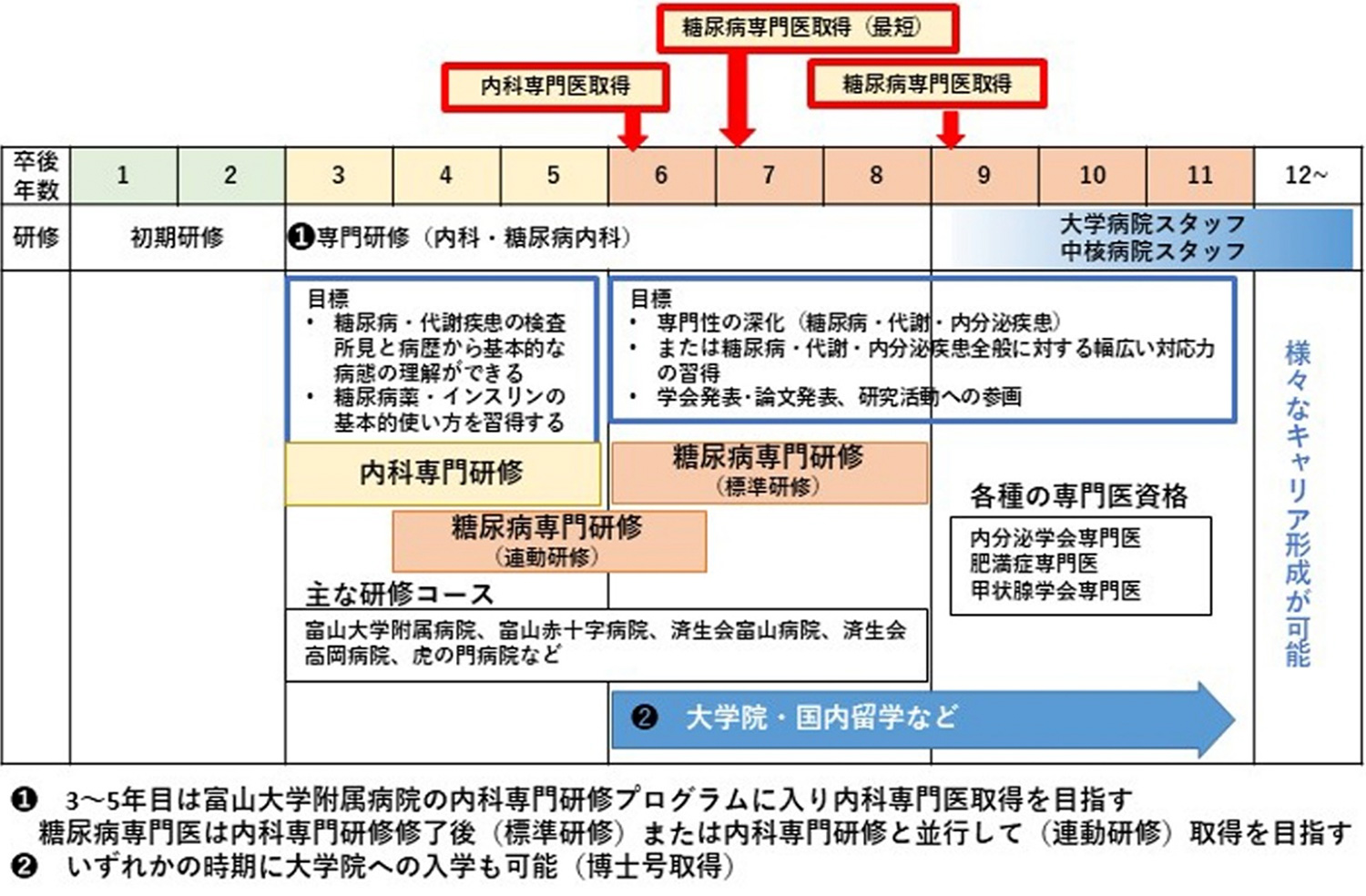 糖尿病代謝・内分泌内科キャリア形成プログラムイメージ