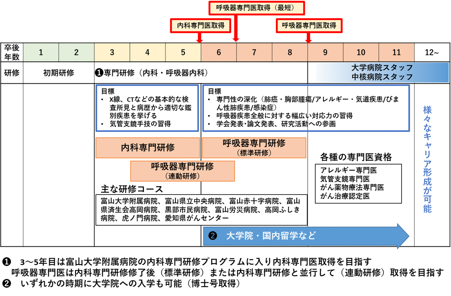 呼吸器内科キャリア形成プログラムイメージ