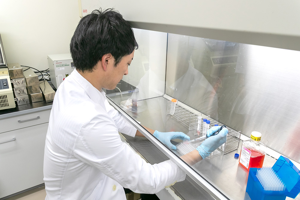 膠原病チーム実験イメージ