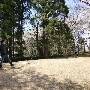 CIMG0099.JPG