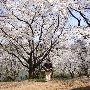 CIMG0107.JPG