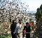 IMG_0302.JPG