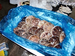 CIMG0262.JPG