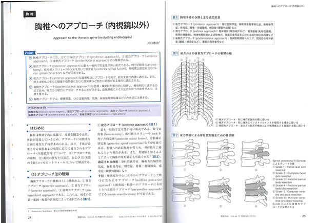 「胸椎へのアプローチ（内視鏡以外）」の記事