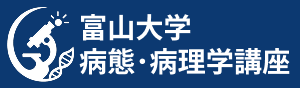 富山大学 病態病理学講座 青ロゴ