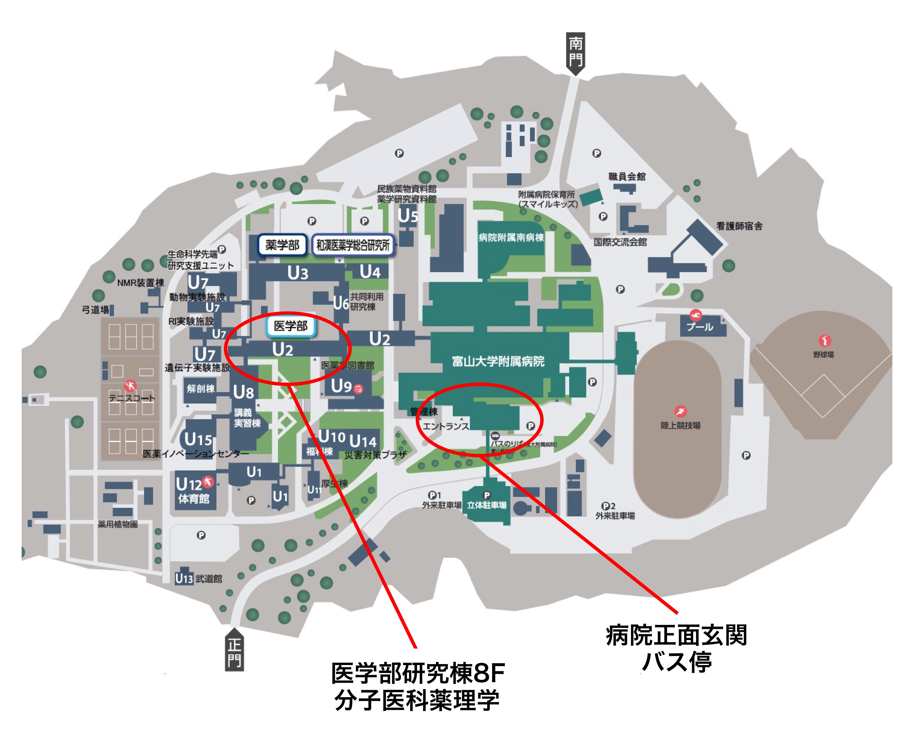 アクセス・問い合わせ 富山大学医学部分子医科薬理学講座HP アクセス・問い合わせ 富山大学医学部分子医科薬理学講座HP
