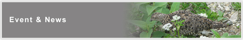 Event & News