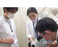 臨床研修イメージ