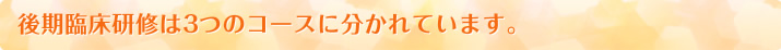 後期臨床研修は3つのコースに分かれています
